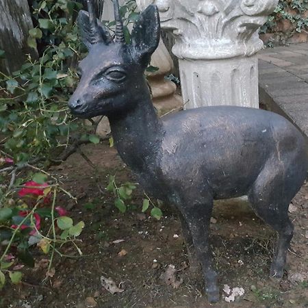 Gemsbok Cottage Bethlehem Exterior foto