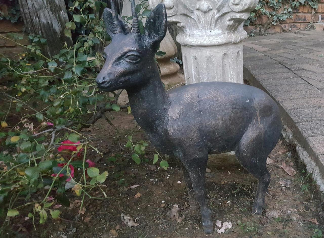 Gemsbok Cottage Bethlehem Exterior foto